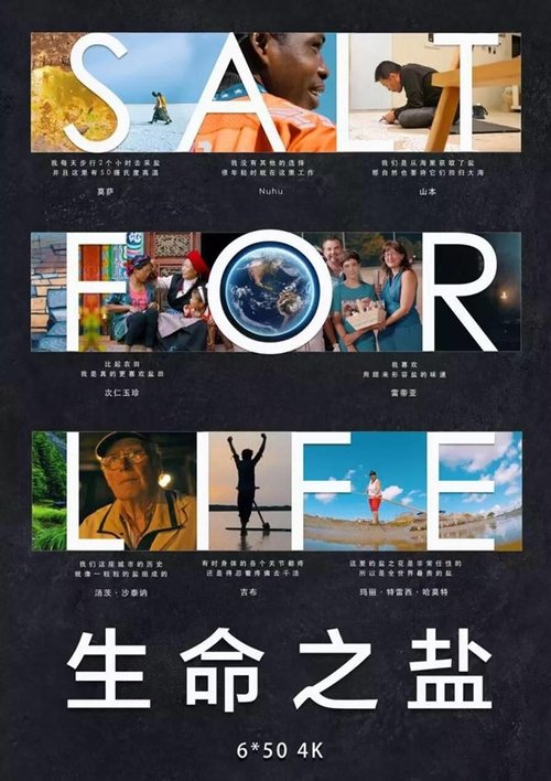 生命之盐 海报