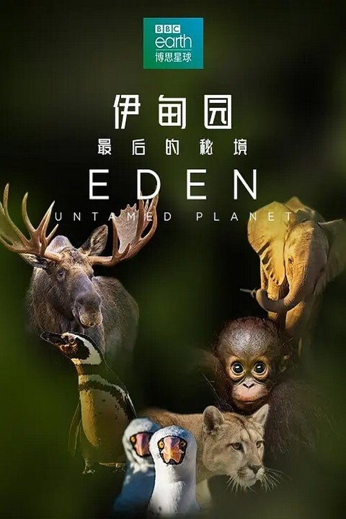 伊甸园：最后的秘境 海报
