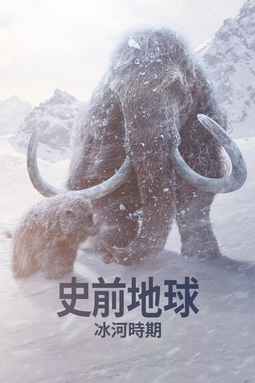 第3季