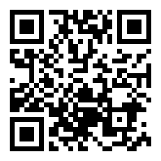 《双子杀手》4K/1080P 特效字幕*