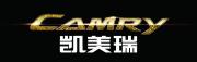 丰田凯美瑞2016广告美版 Toyota Camry Car Ads