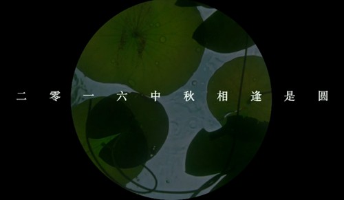 【预告片】《我不是潘金莲》:忽悠!你接着忽悠! – 《我不是潘金莲》影评