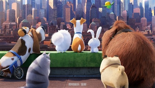 【动物】《爱宠大机密》：最喜欢这种甜甜的快乐！ – 《爱宠大机密》影评