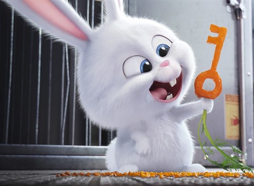 【动物】《爱宠大机密》：最喜欢这种甜甜的快乐！ – 《爱宠大机密》影评