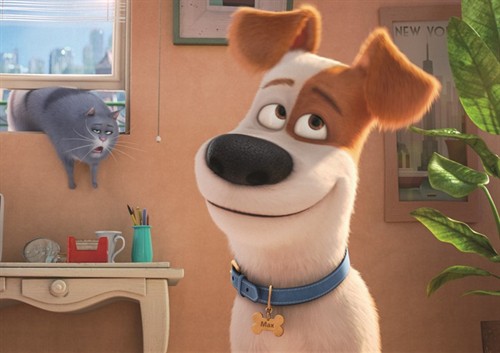 【动物】《爱宠大机密》：最喜欢这种甜甜的快乐！ – 《爱宠大机密》影评