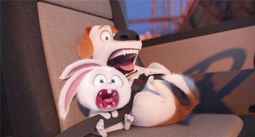 【动物】《爱宠大机密》：最喜欢这种甜甜的快乐！ – 《爱宠大机密》影评