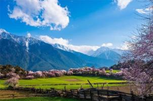 西藏风光 West China scenery 4K 片源