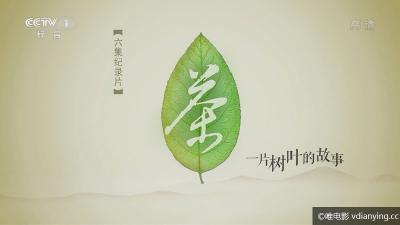 [CCTVHD]《茶，一片树叶的故事》全6集720P高清百度网盘迅雷电驴