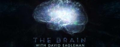 [PBS]《深入大脑 走进大脑》全6集 外挂英文字幕 百度云网盘下载