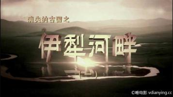 [CCTV]《消失的古国之伊犁河畔》全3集超清在线点播 百度云网盘下载