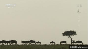 [CCTV]《地球24小时》全2集超清 720P/MKV百度云网盘下载