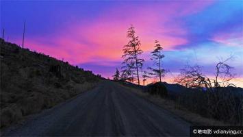 [今日说法] 寻找爱的法则系列《龙眼树下的对峙》婆媳积怨 情绪一触即发