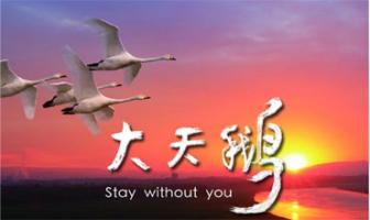 [CCTV]《大天鹅》1080P/MP4 压制 百度云网盘