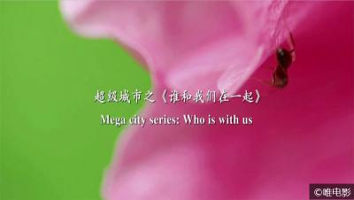 [CCTV]超级城市系列之《谁和我们在一起》全5集 超清1080P/MP4 在线点播 百度云微云下载