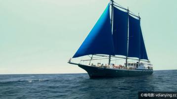 [自然]《南极任务》Antarctic Mission 全3集 1080P/MKV/13G 英文无字 BT种子打包