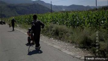 [CCTV]太行山上的梦想《白风明的种田梦》全3集 1080P/TS/720P/MKV 百度网盘