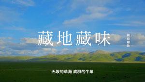 [CCTV]《藏地藏味》西藏美食文化纪录片 720P/MP4/560M 在线观看 百度网盘下载