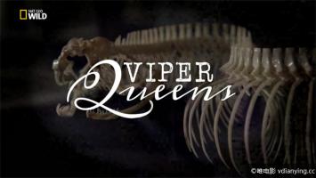 [国家地理]《毒蛇女王》超清1080i/TS/3.5G 国语无字幕 百度网盘