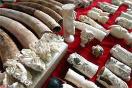 [今日说法]《文化的名义》是什么原因让一个主持人频频倒卖野生动物制品参与犯罪？