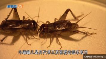 [SITV]《亚洲古都》全6集 720P/MKV/9.11G 内嵌中文字幕 收藏必备 种子磁力 迅雷高速