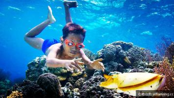 [BBC]《水下人生》720P/MP4 方言 英文字幕 IMDB高分纪录片 百度网盘