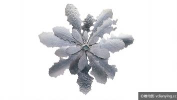 [PBS]《美国手艺》第1季全3集 720P/MP4/2.16G 美工手工技艺 百度网盘 外挂字幕