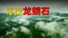 [CCTV]地理中国 天坑密档《寻找龙鳞石》超清在线观看 上下两集