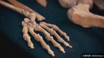 [探索频道]《血腥金字塔的诅咒》720P/MP4/0.9G 百度网盘 外挂字幕