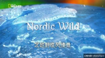 [国家地理]《北欧野生风情录》第一季 全4集 内嵌中文字幕 1080P/720P/MP4 百度网盘
