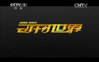 [央视]《动物世界》2017年6月份节目合辑 超清在线观看 节目列表内详