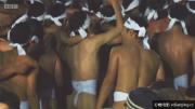 [BBC]《最极端的节日》全3集 720P/MP4/外挂英文字幕 体验疯狂节日 百度网盘