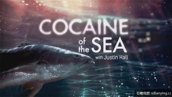 [国家地理]《探索者-海上可卡因》720P/MP4 外挂字幕 在线点播 百度网盘 电驴下载