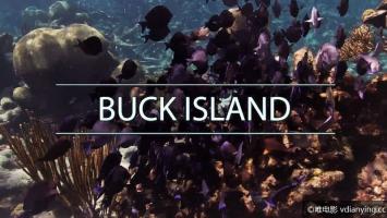 [自然风光]《国家公园的水下奇景》全7集 1080P/MP4 外挂英字 百度网盘 电驴下载