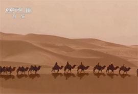 [CCTV-10]地理中国《西域奇城》上下两集 超清在线点播 百度网盘下载