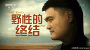 央视纪录电影《野性的终结》全集 1080P/TS/MP4/5G 百度网盘下载 在线点播