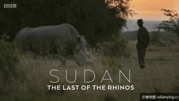 [BBC]《苏丹：最后的犀牛》全1集 720P/MP4 百度网盘下载 外挂英文字幕