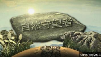 央视5集纪录片《自然守望者》1080P/720P/MP4 超清在线 百度网盘下载