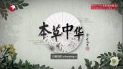 东方卫视中医药纪录片《本草中华》全6集 超清1080P/MP4 百度网盘 微云下载
