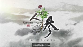 CCTV9大型人文纪录片《人参》全5集 超清1080P/MKV/MP4 百度网盘下载