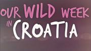 [BBC]《克罗地亚狂野度假周》 高清720P/MP4 英文字幕 百度网盘 磁力 电驴下载