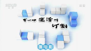 央视纪录片《有一种生活叫定制》全5集 1080P/MP4压制 百度网盘 在线点播