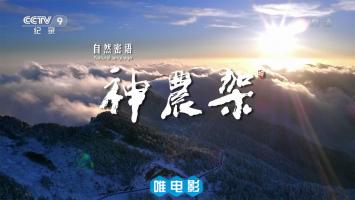 央视自然纪录片《自然密语：神农架》全4集 超清1080P/TS录制无水印片源 百度网盘下载