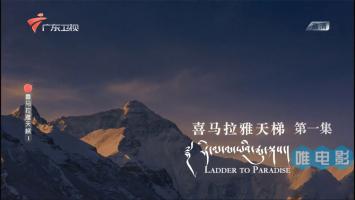 [广东卫视]《喜马拉雅天梯》全5集 1080P/TS录制 百度网盘下载
