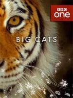 [BBC]《大猫》Big Cats 2018全新纪录片 1080P 国语/原版 百度网盘 微云 BT下载