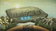 央视纪录片《自然守望者》第四季 全5集 高清1080P 百度网盘 微云下载 在线点播