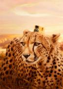 关于新增部分资源付费下载的说明！