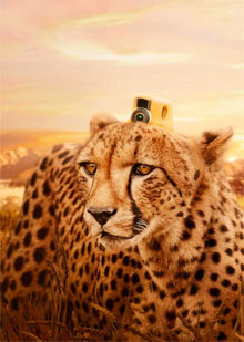 关于新增部分资源付费下载的说明！