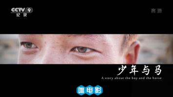 央视单集纪录片《少年与马》1080P/MP4 百度网盘 微云下载 在线点播