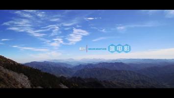 独立纪录片《野性秦岭》全2集 高清国语1080P 百度网盘/微云下载 在线点播
