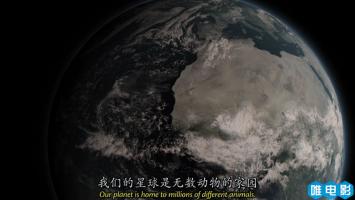 [BBC]《隐秘的王国》全3集 超清720P/MKV 国英双语/中文字幕 BT/磁力下载 在线点播